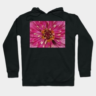 zinnia flower bloom floral fantasy in pink Hoodie